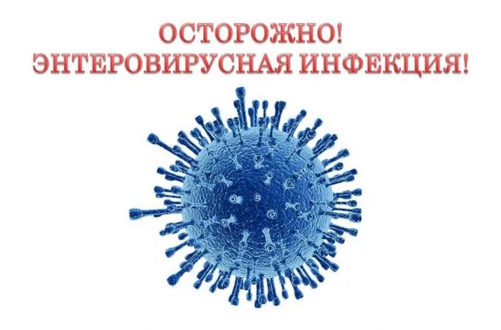 Профилактика  энтеровирусной инфекции